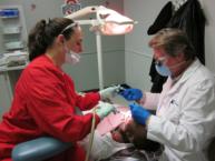 Adult Clinic - Busy At Work